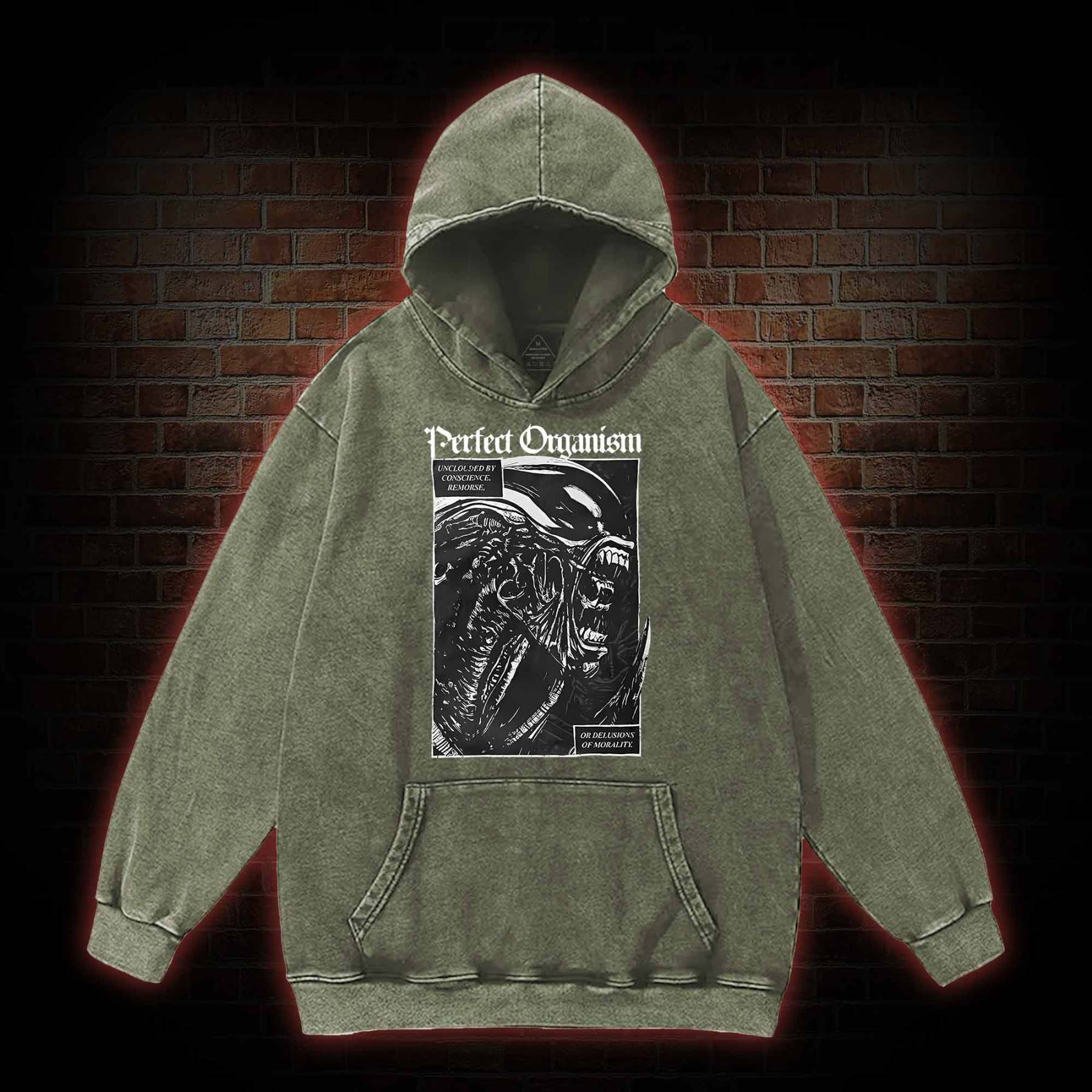 Alien Perfect Organism Washed Hoodie