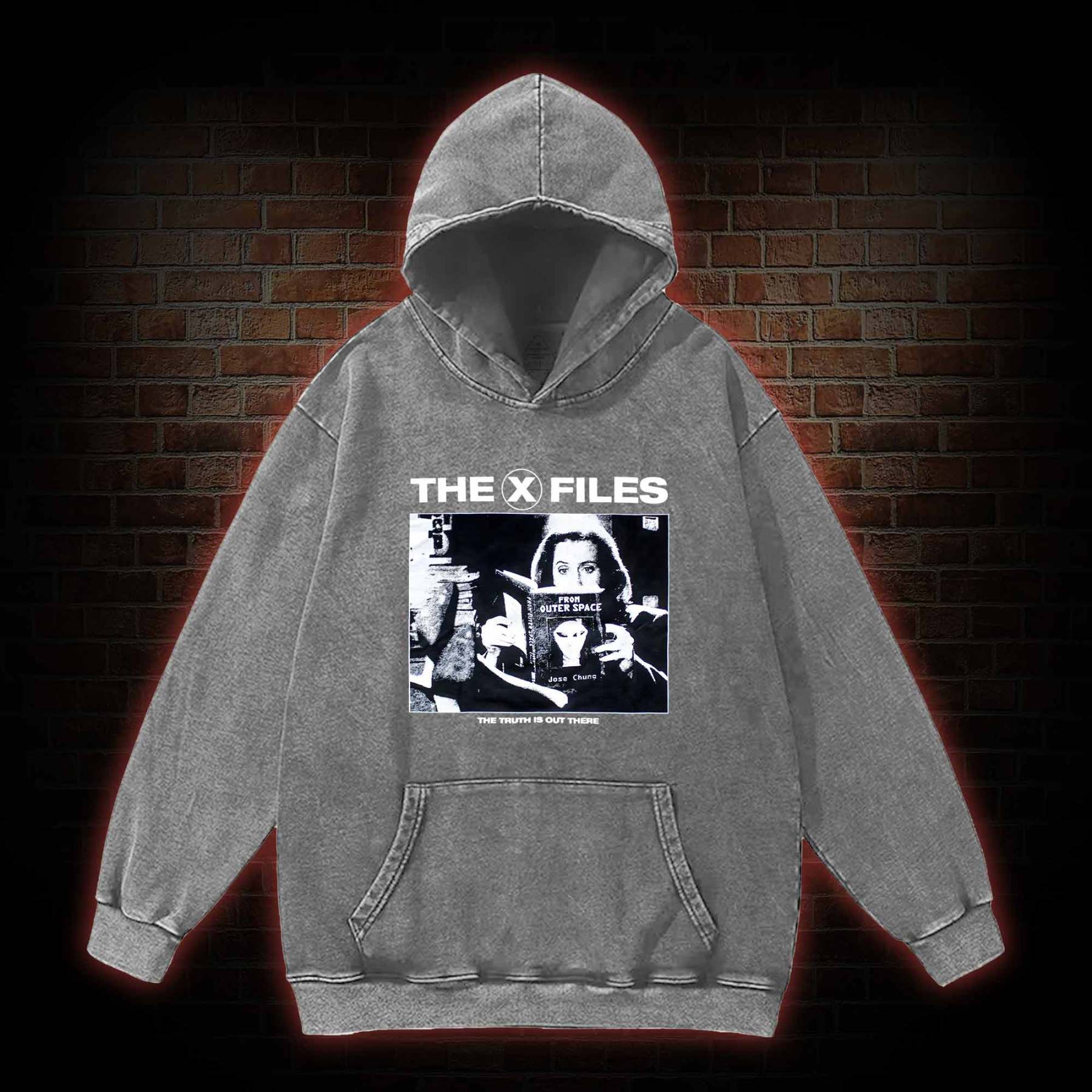 Truth Is Out There Washed Hoodie