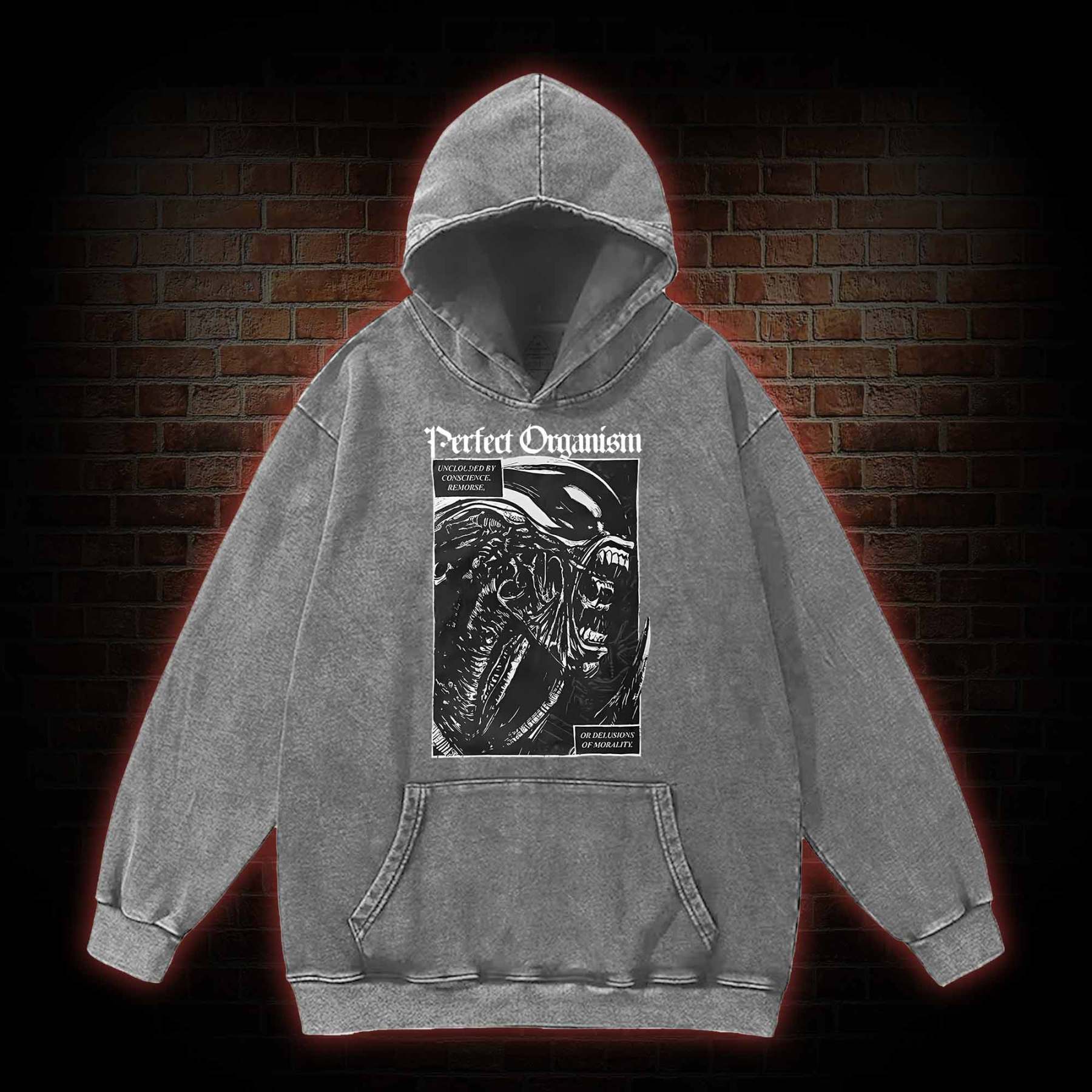 Alien Perfect Organism Washed Hoodie