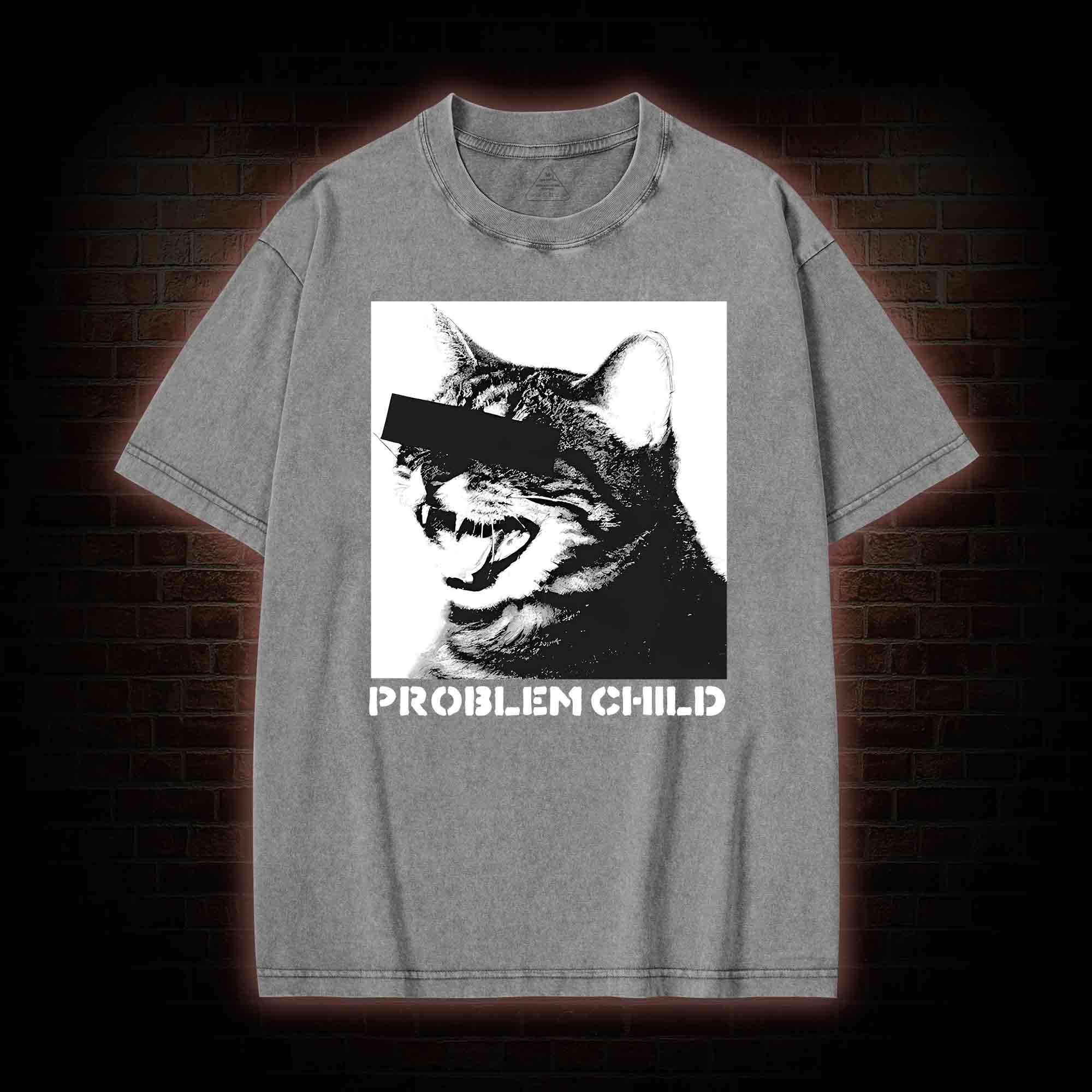 Problem Child Cat Washed T-shirt