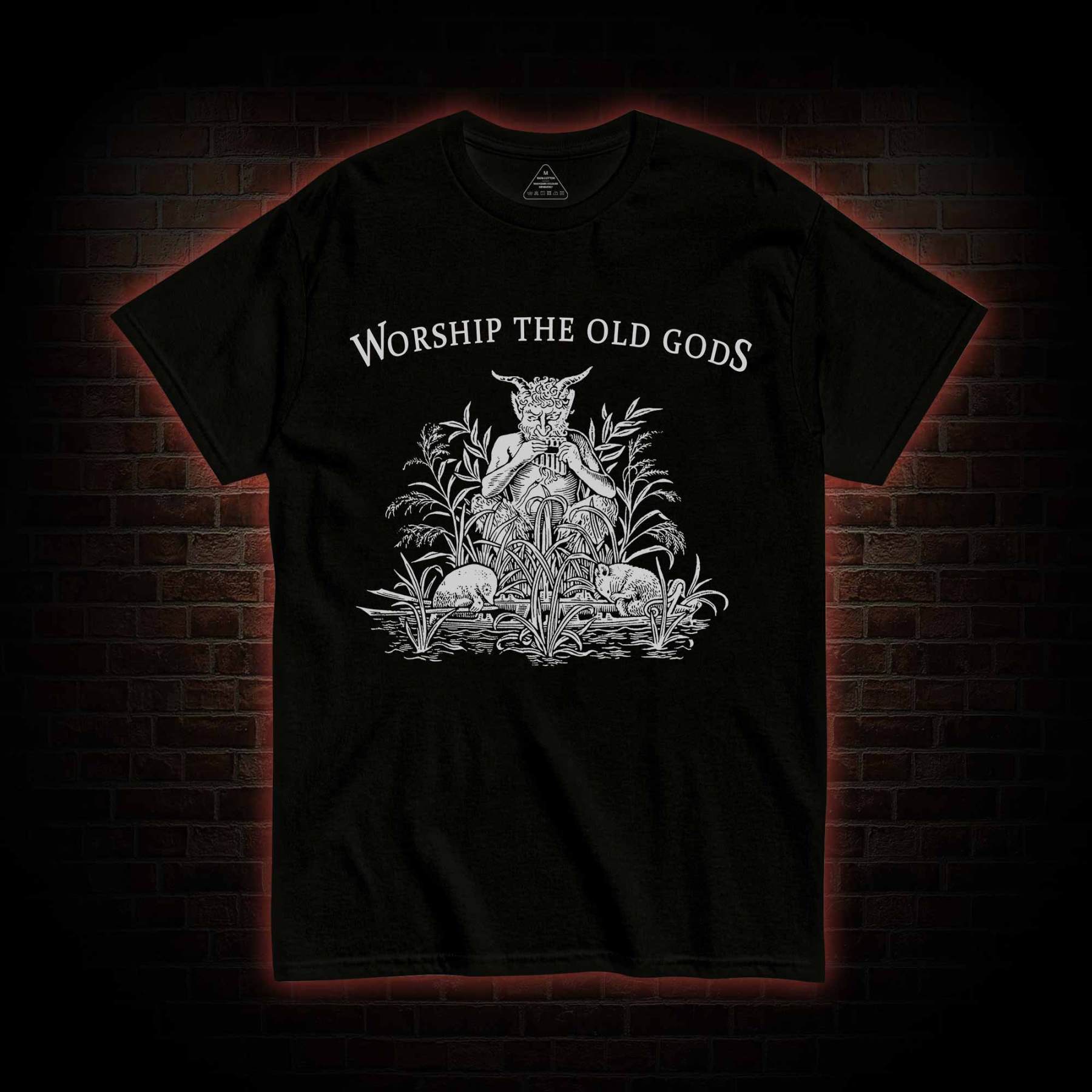 Worship The Old Gods T-shirt