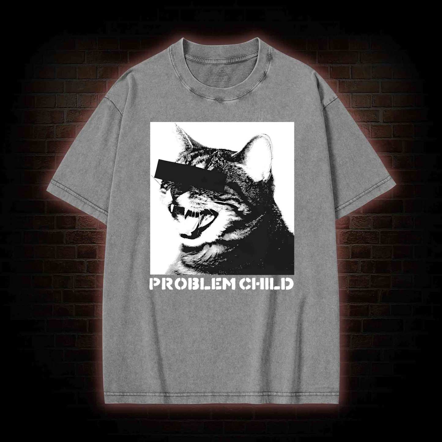 Problem Child Cat Washed T-shirt