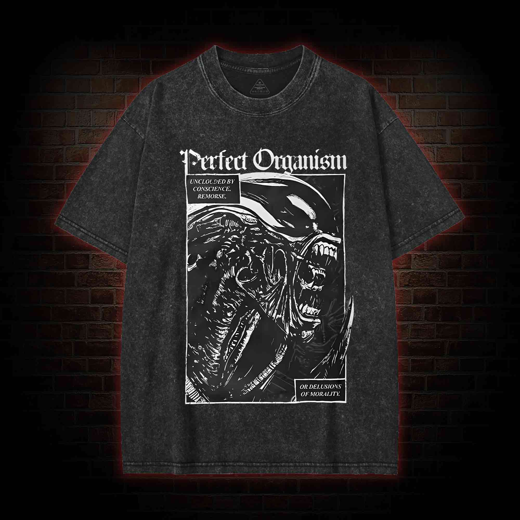 Alien Perfect Organism Washed T-shirt