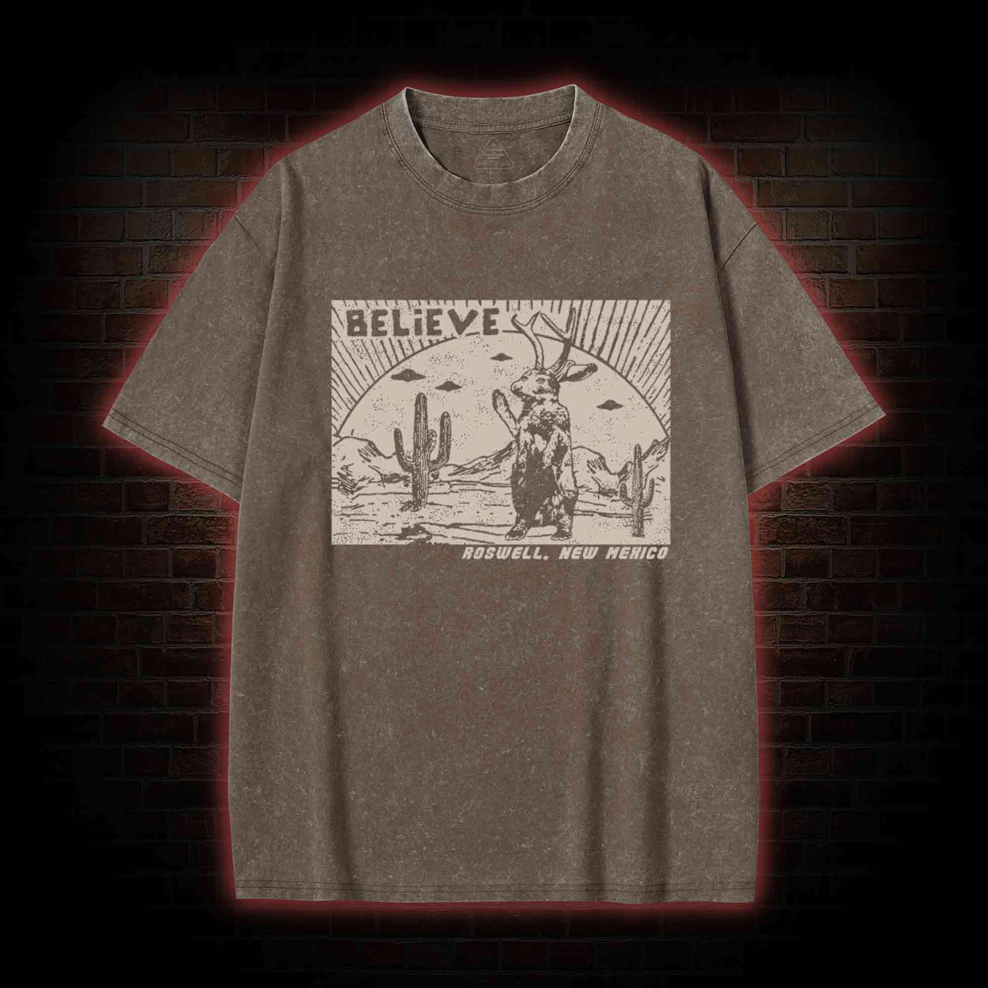 Believe Roswell New Nexico Washed T-shirt
