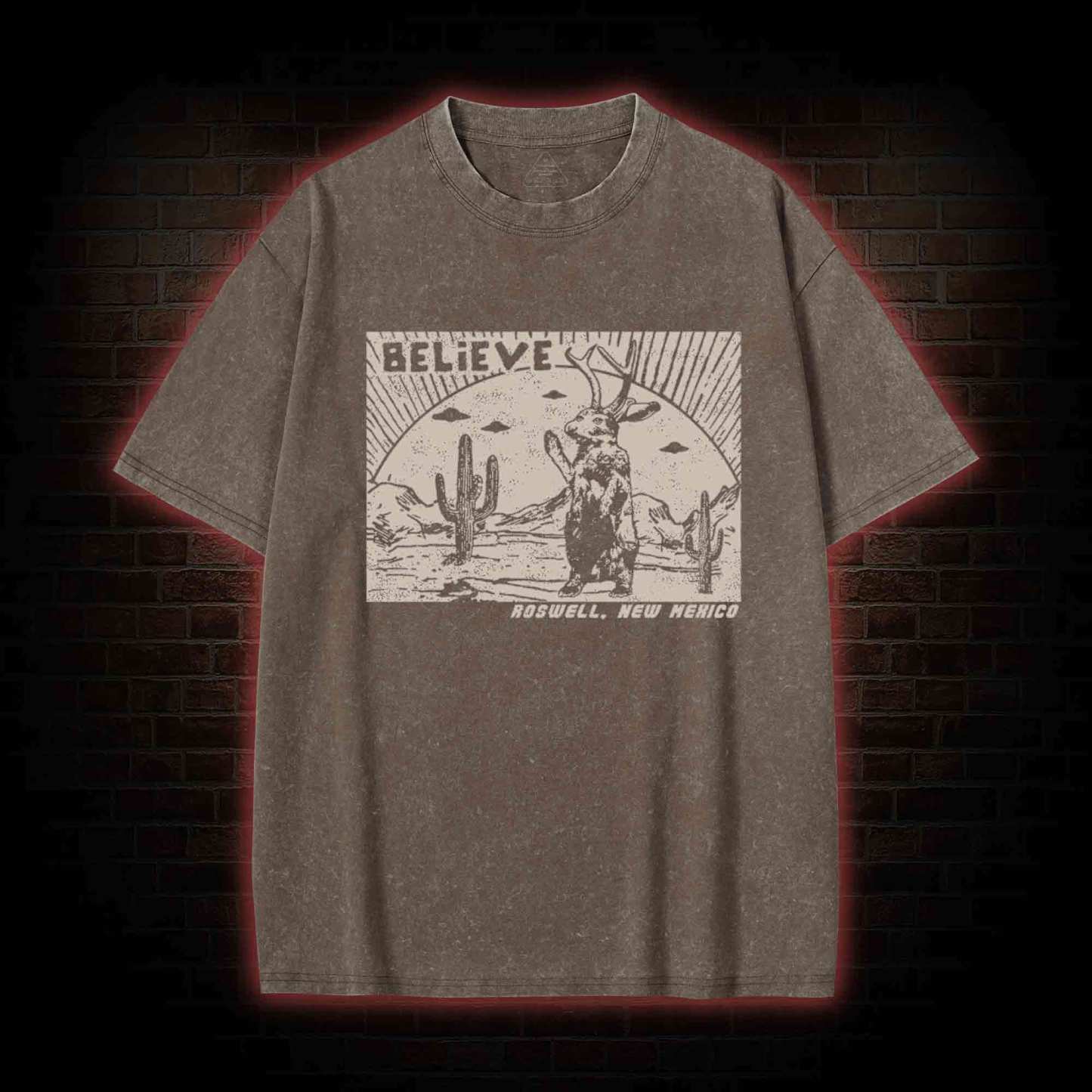 Believe Roswell New Nexico Washed T-shirt