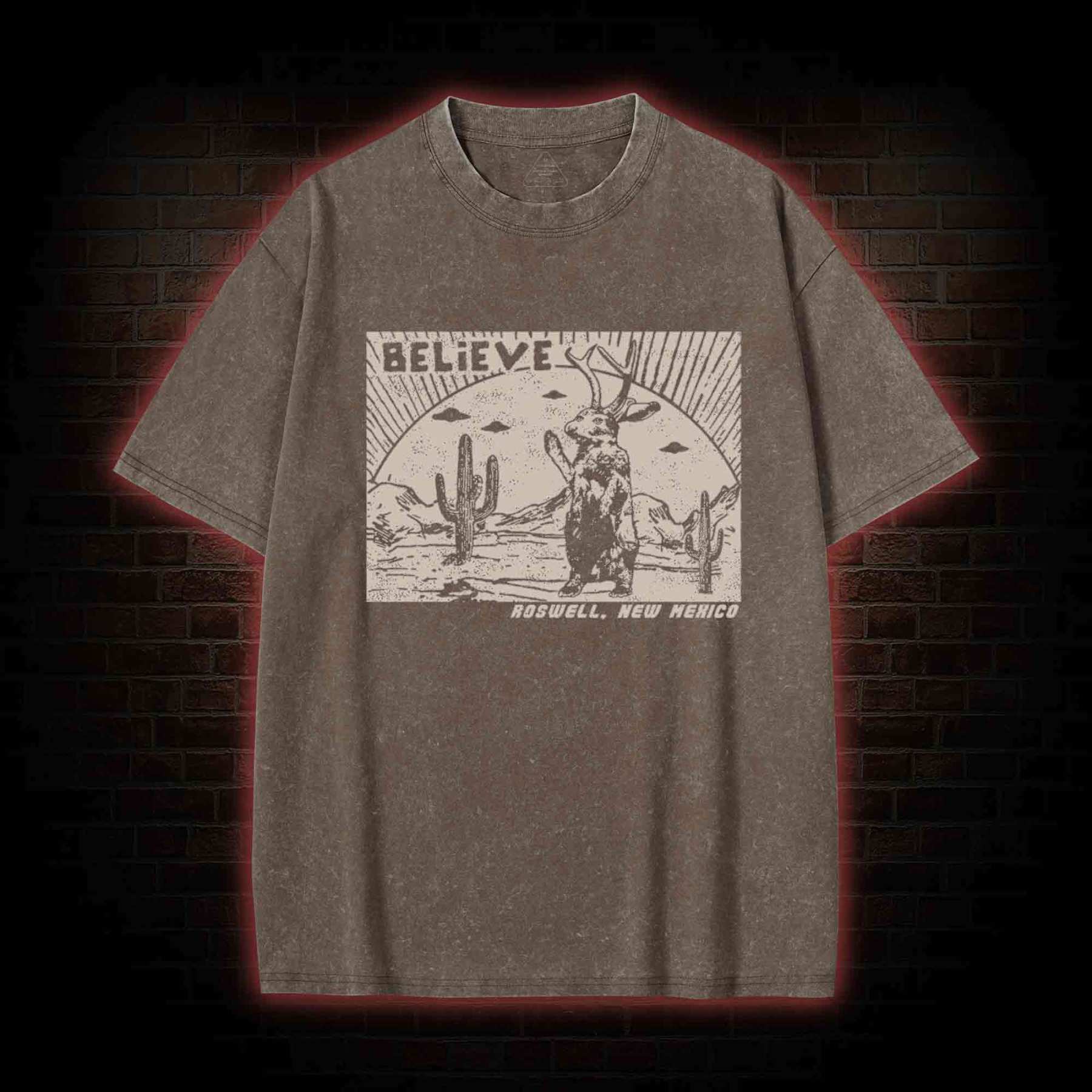 Believe Roswell New Nexico Washed T-shirt