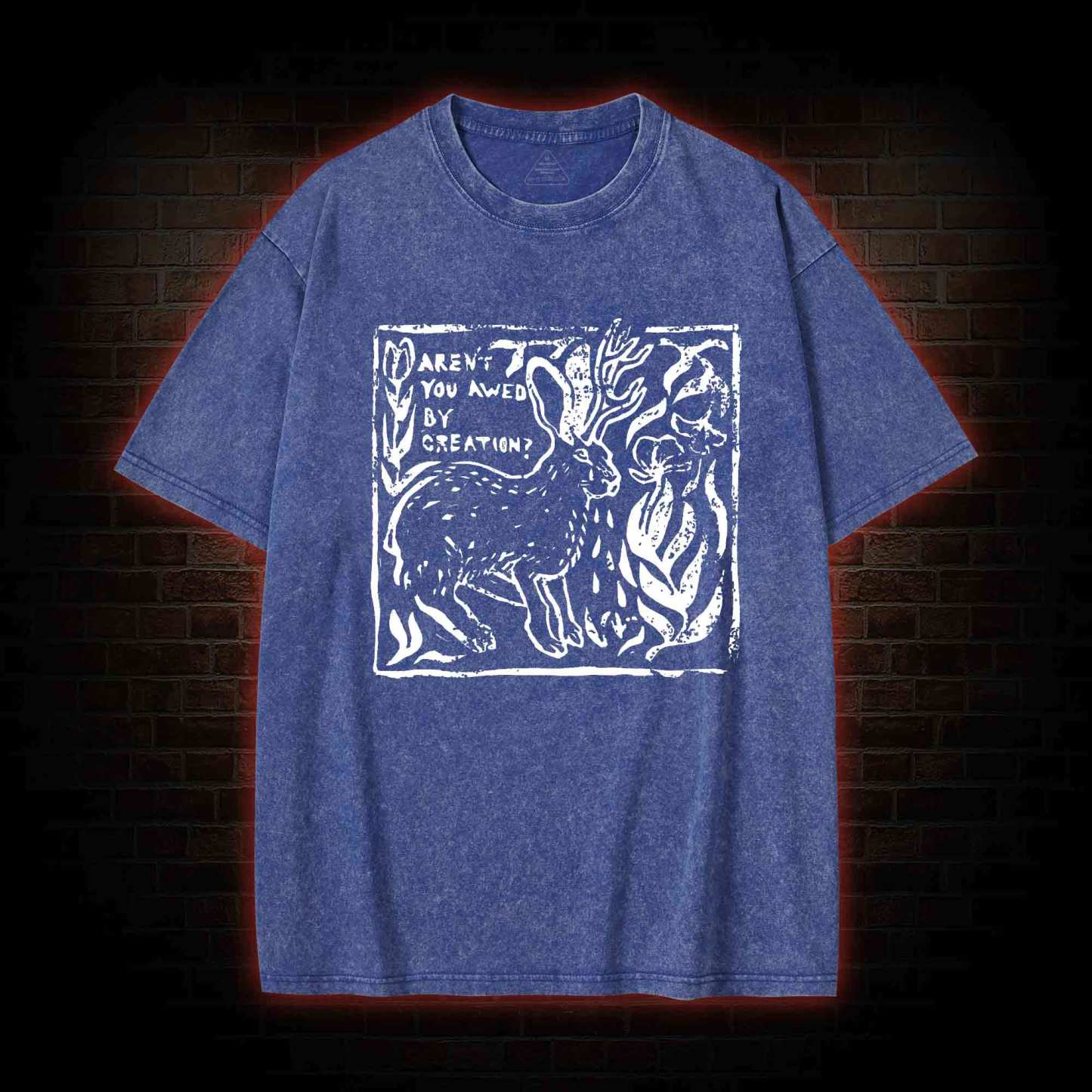 Aren't You Awed by Creation Washed T-shirt