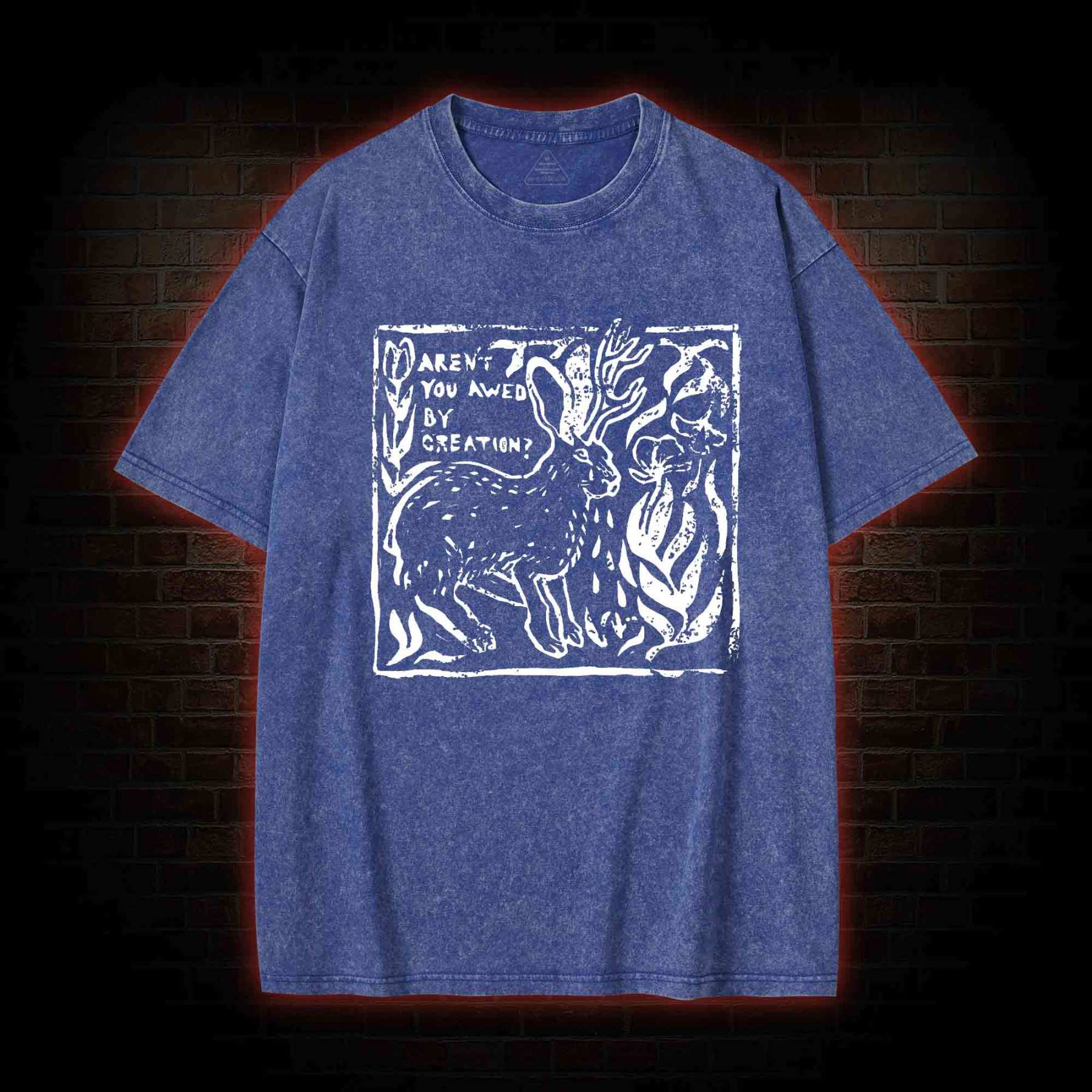 Aren't You Awed by Creation Washed T-shirt