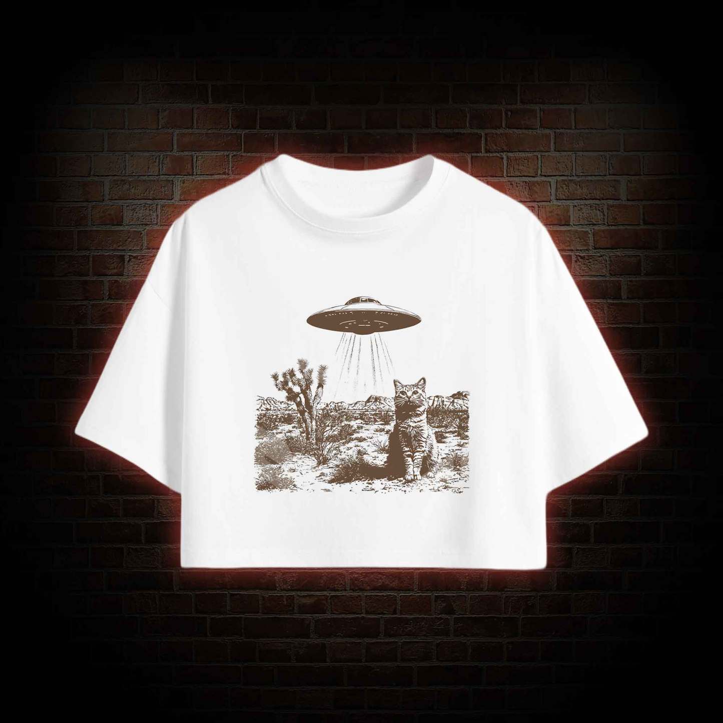 Ufo Cowboy Cat Crop Top