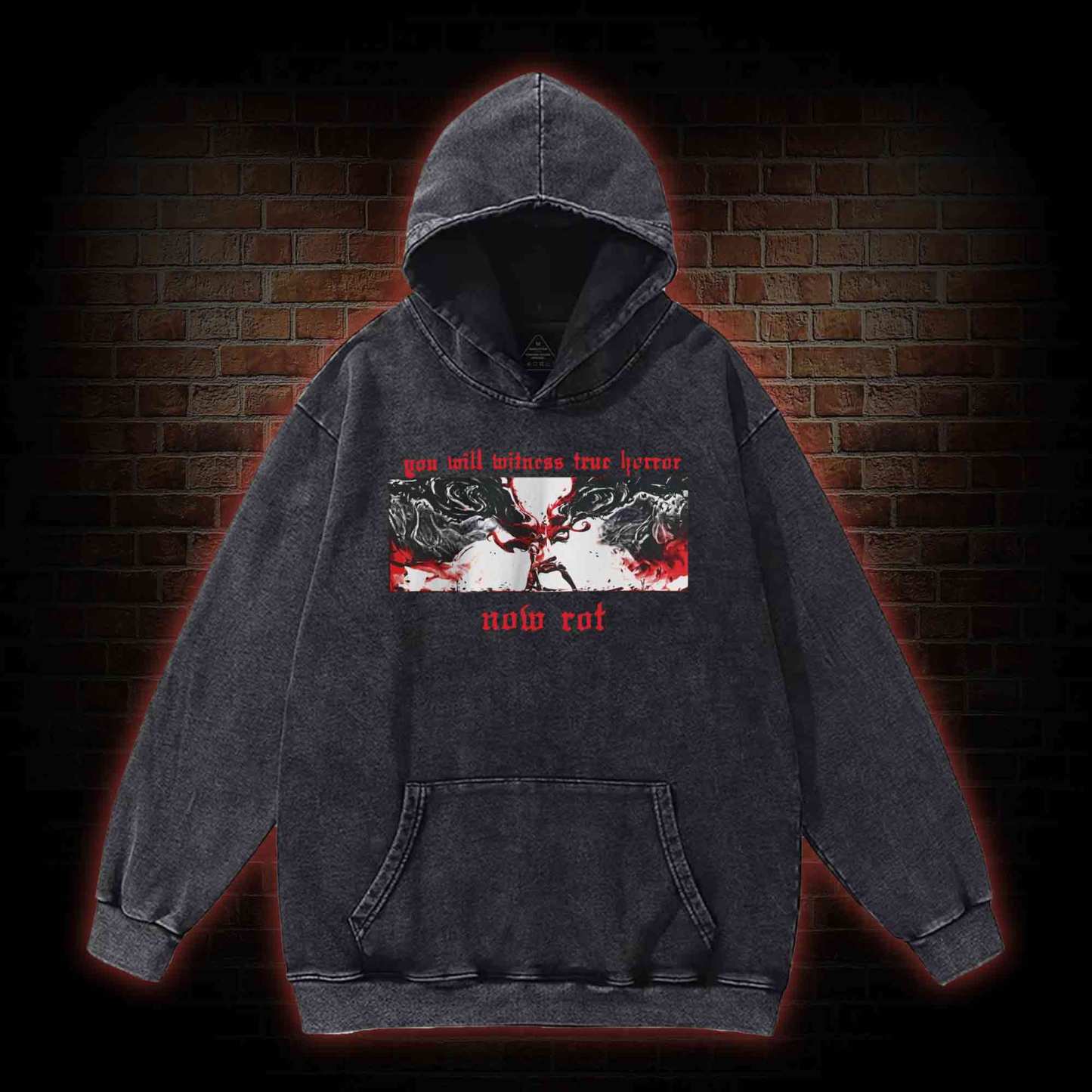 Put These Foolish Ambitions to Rest Washed Hoodie