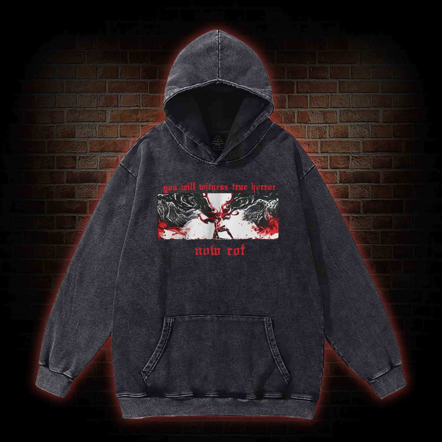 Put These Foolish Ambitions to Rest Washed Hoodie