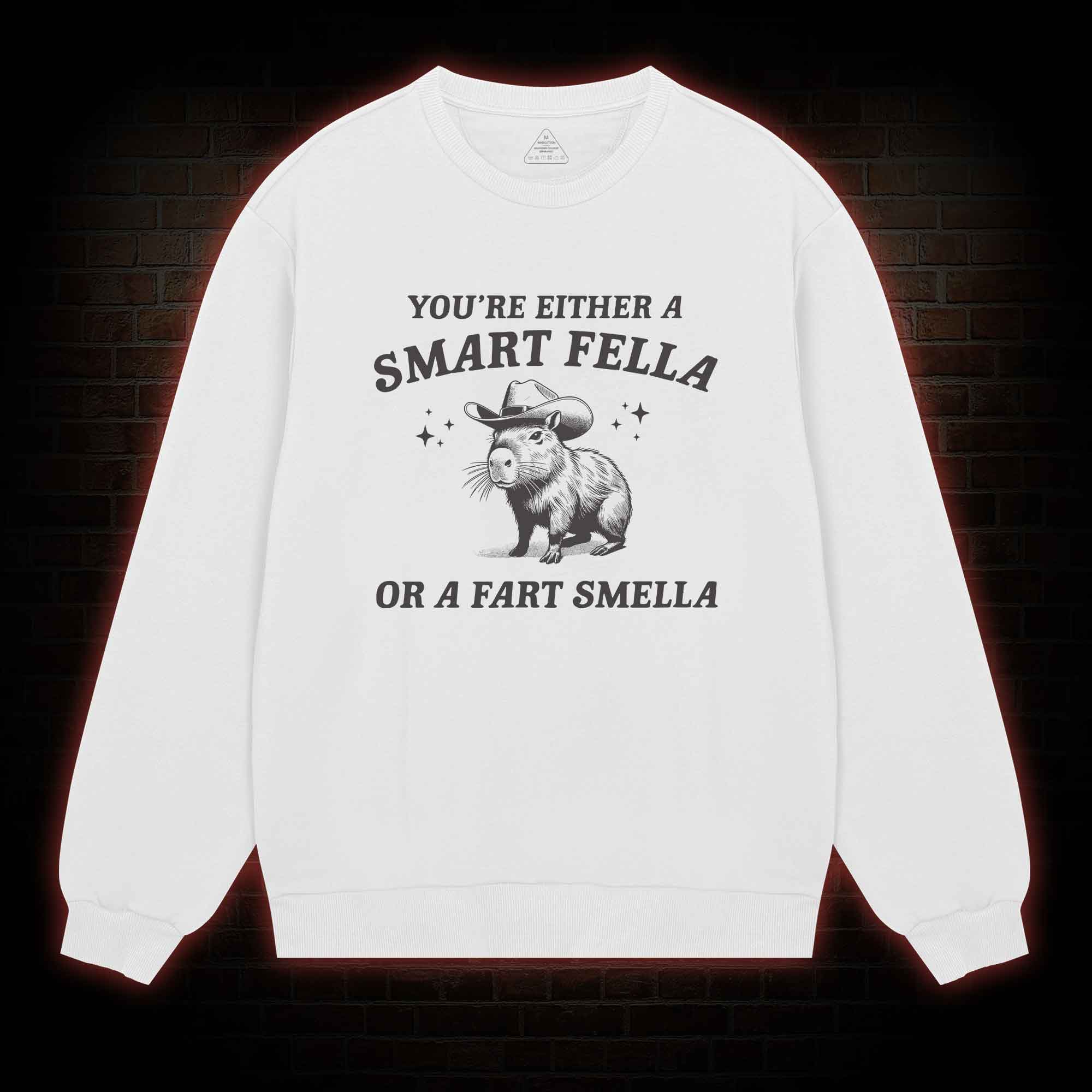 Smart Fella Or Fart Smella Sweatshirt