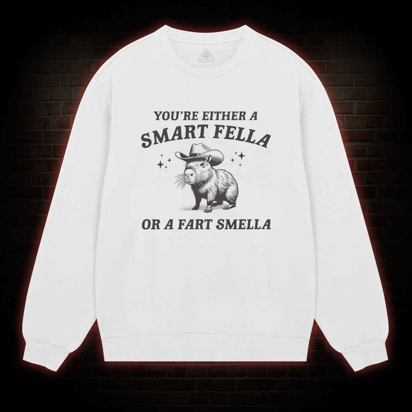 Smart Fella Or Fart Smella Sweatshirt