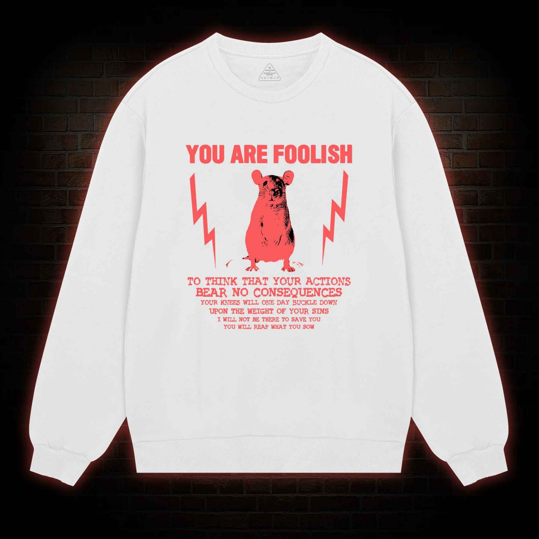 You Are Foolish Sweatshirt