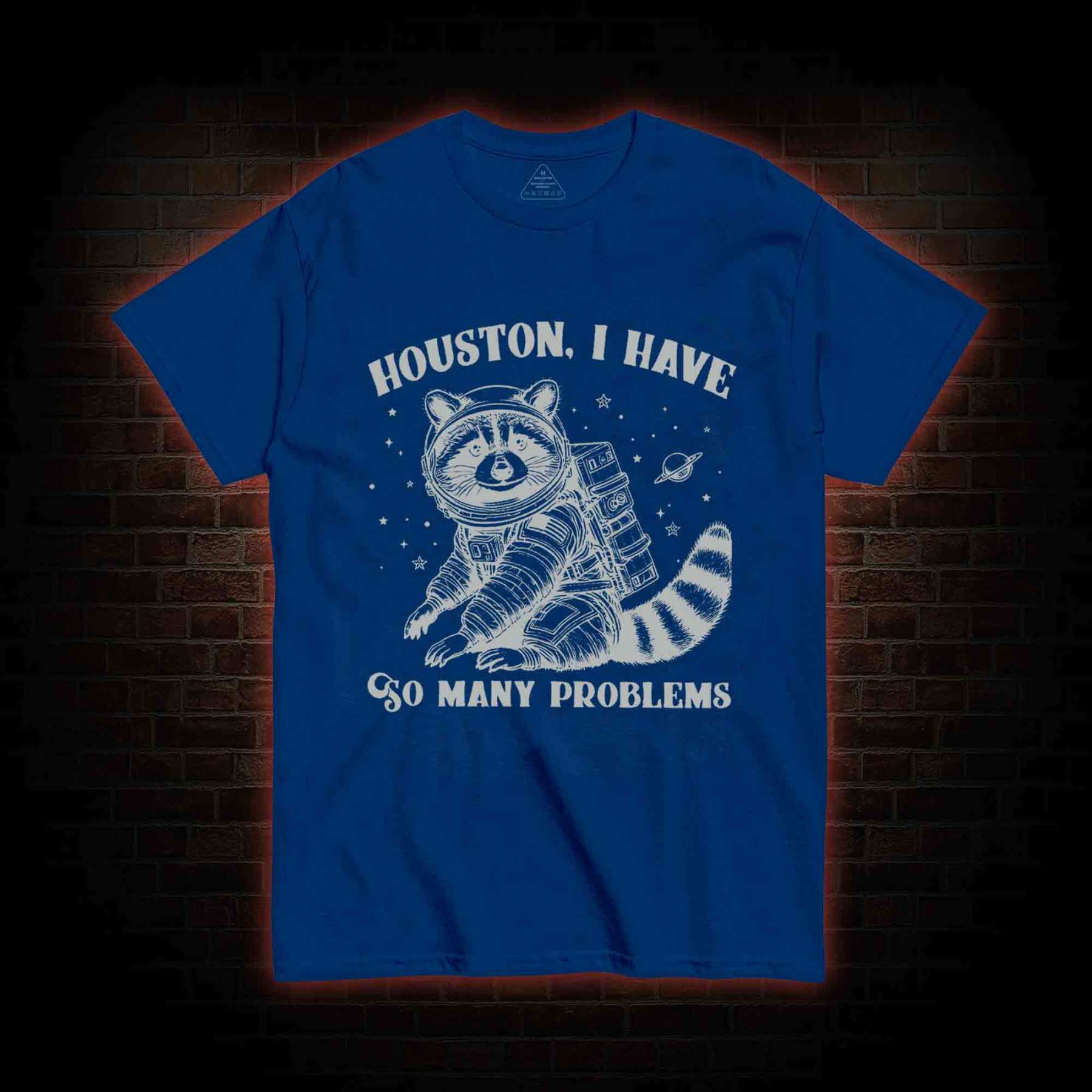I Have So Many Problems Raccoon T-shirt