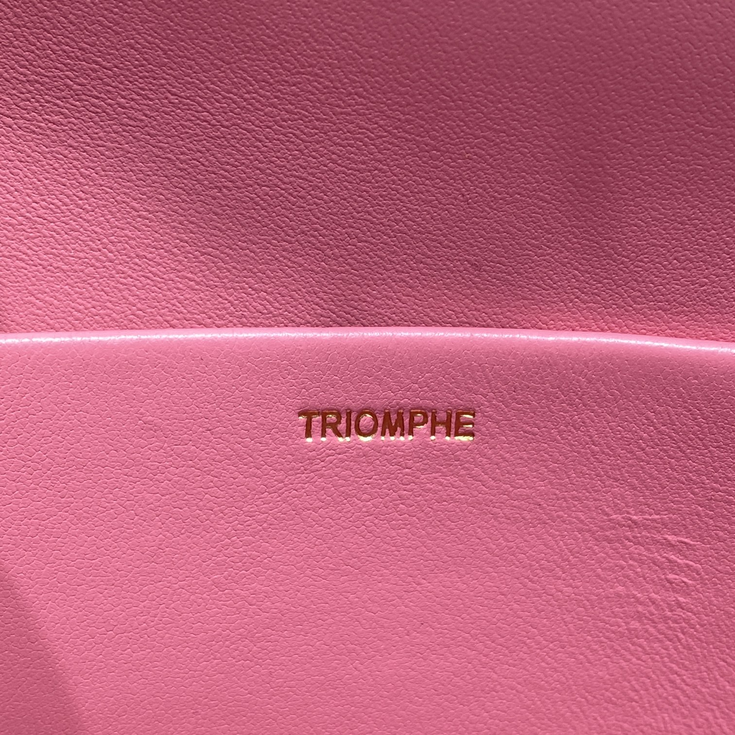 CE CHAIN SHOULDER BAG TRIOMPHE IN TRIOMPHE CANVAS PINK 197993BF25FO