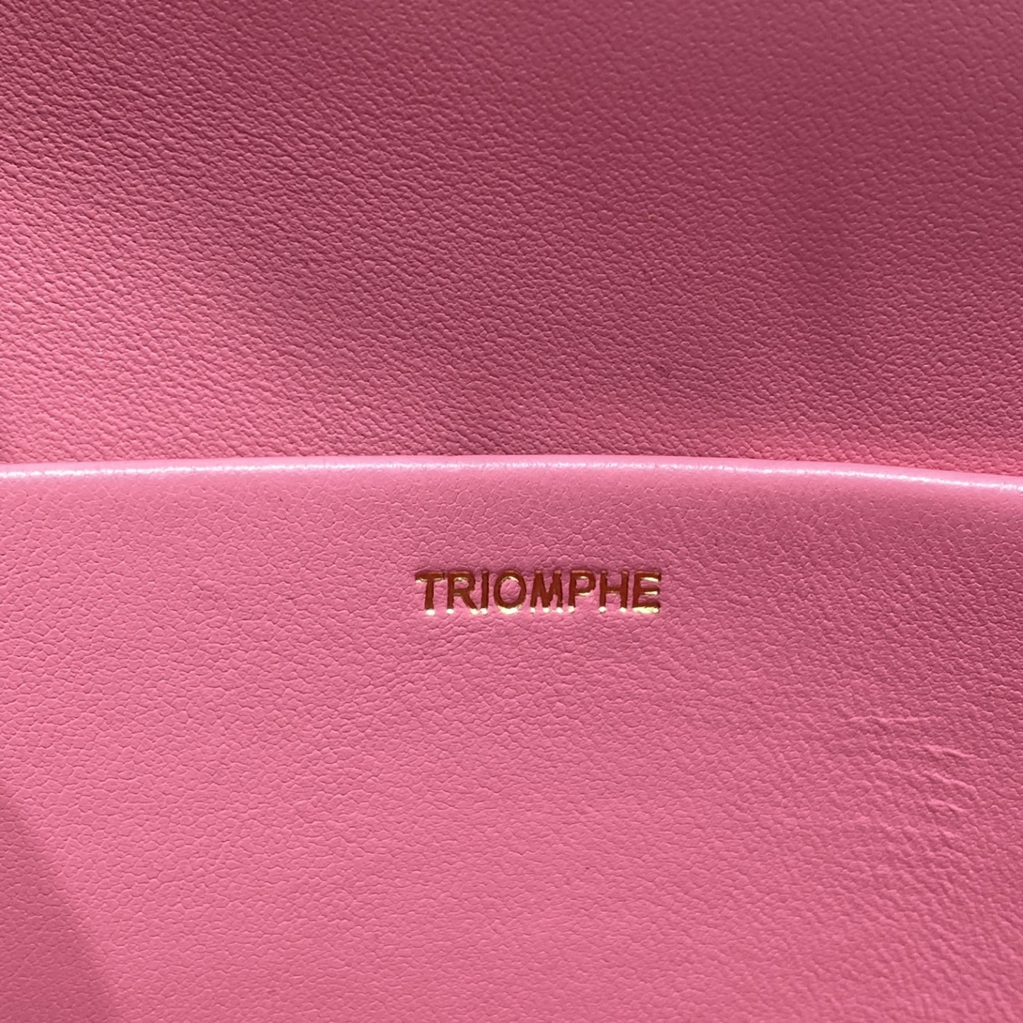 CE CHAIN SHOULDER BAG TRIOMPHE IN TRIOMPHE CANVAS PINK 197993BF25FO