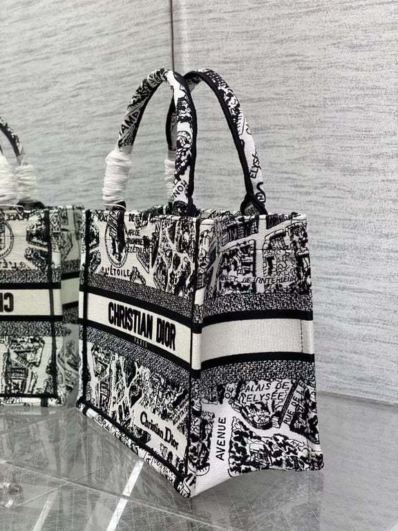 DIR MEDIUM BOOK TOTE WHITE AND BLACK PLAN DE PARIS EMBROIDERY 36CM