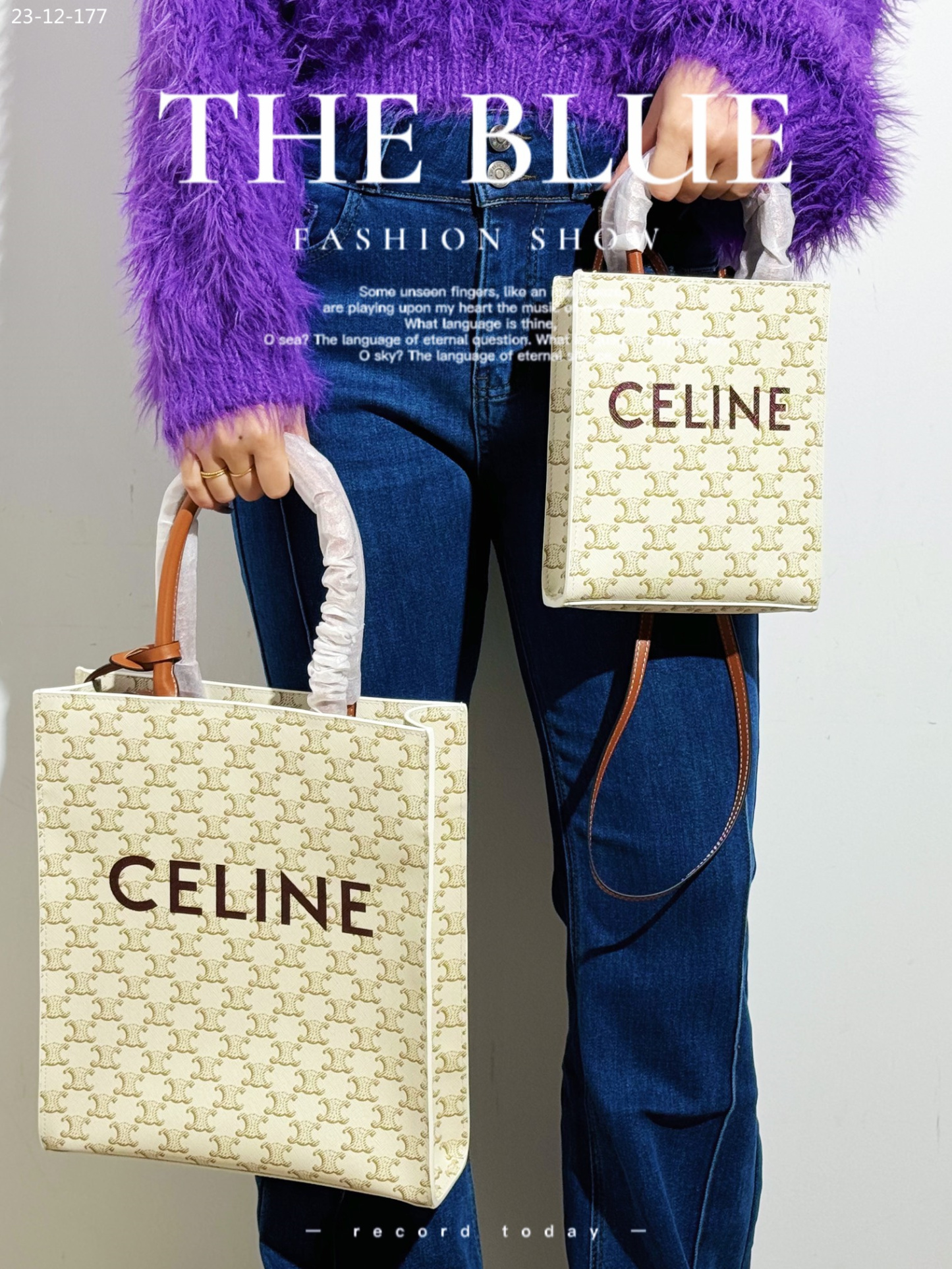 CE MINI VERTICAL CABAS IN TRIOMPHE CANVAS AND CALFSKIN WITH CE PRINT WHITE 21CM