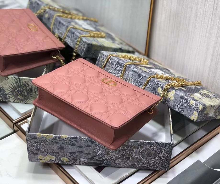 dir CARO ZIPPED POUCH WITH CHAIN DUSTY CORAL PINK S5106UWHC_M76P