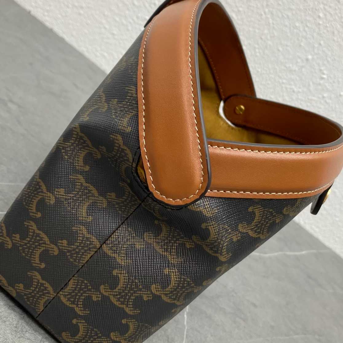 CE POUCH IN TRIOMPHE CANVAS AND CALFSKIN TAN 10J772EGL04LU