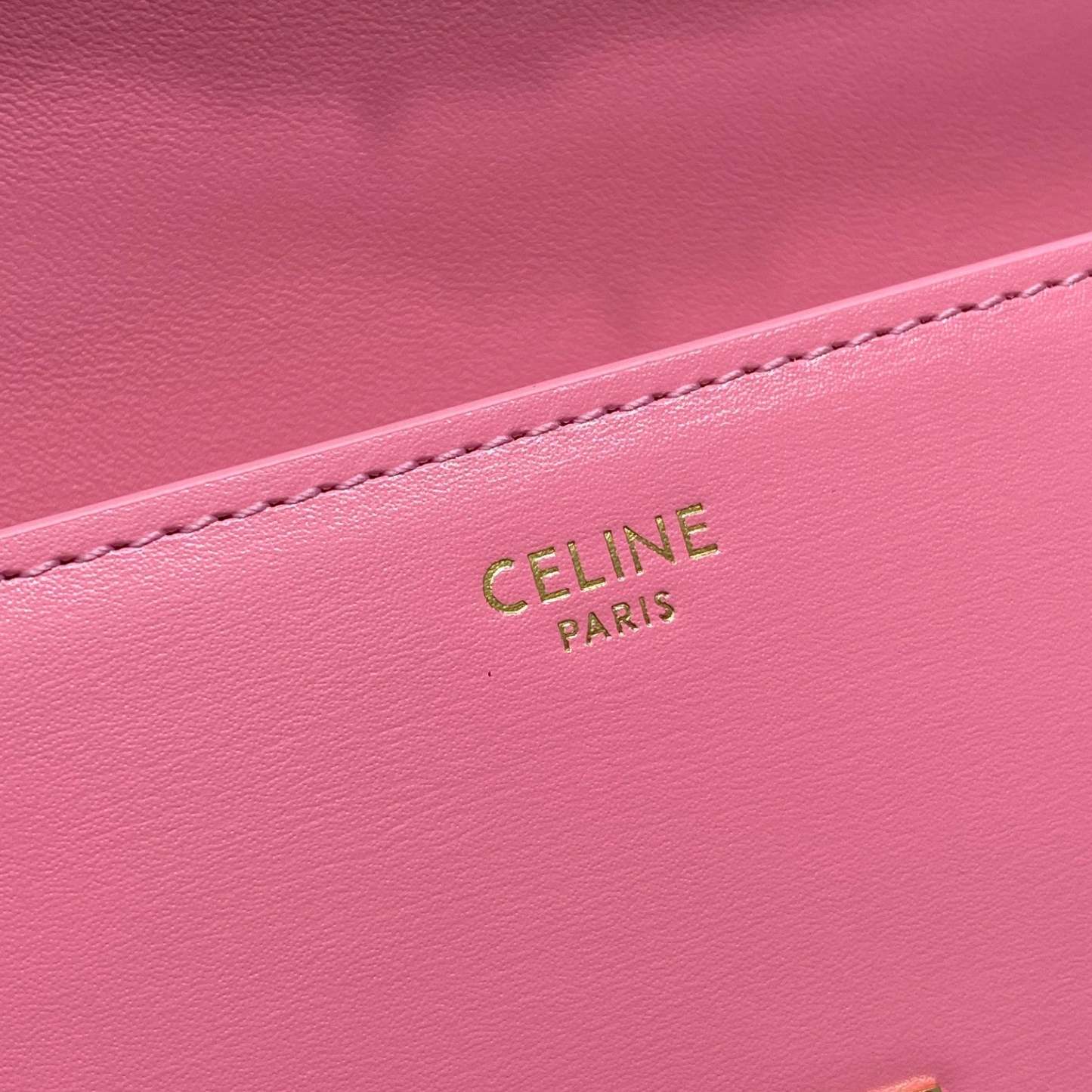 CE Chain Shoulder Bag Triomphe PiNike For Women 8in/20.5cm