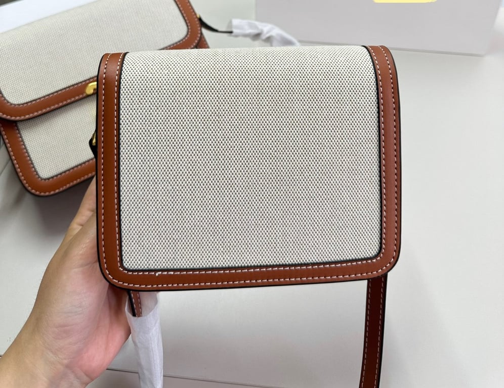 CE CLASSIQUE TRIOMPHE BAG IN TEXTILE AND CALFSKIN 22CM