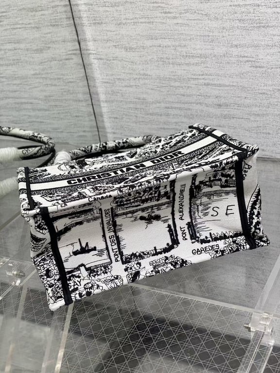 DIR MEDIUM BOOK TOTE WHITE AND BLACK PLAN DE PARIS EMBROIDERY 36CM