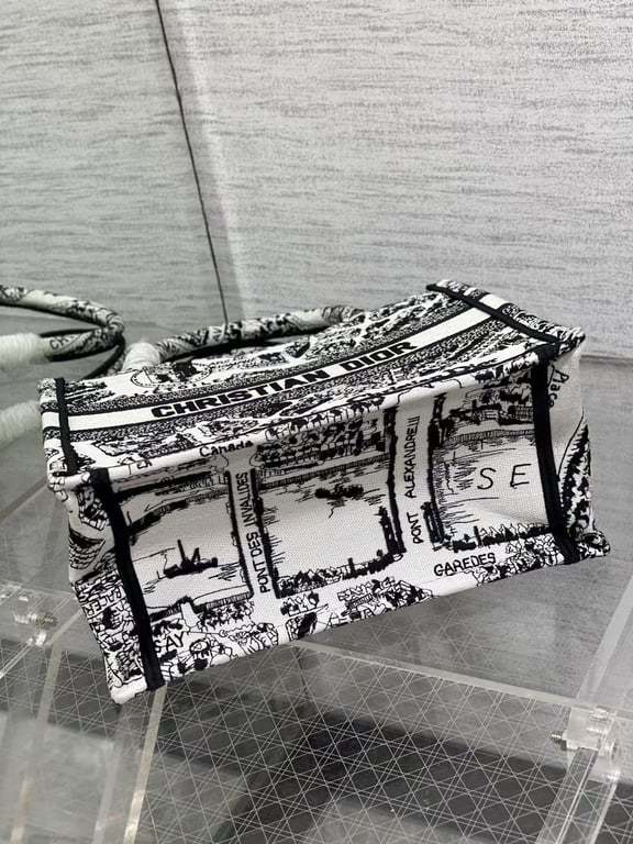 DIR MEDIUM BOOK TOTE WHITE AND BLACK PLAN DE PARIS EMBROIDERY 36CM