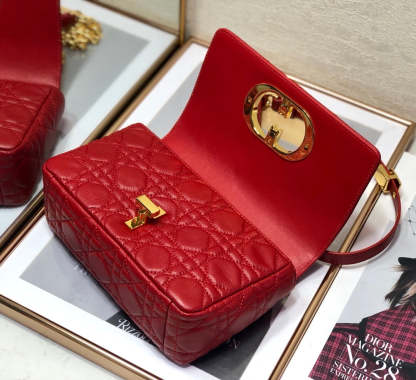 DI Small Caro Bag Red For Women, Women’s Handbags, Shoulder Bags, Crossbody Bags 20cm/8in CD
