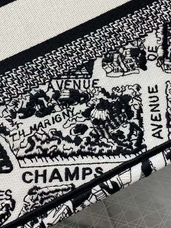 DIR MEDIUM BOOK TOTE WHITE AND BLACK PLAN DE PARIS EMBROIDERY 36CM