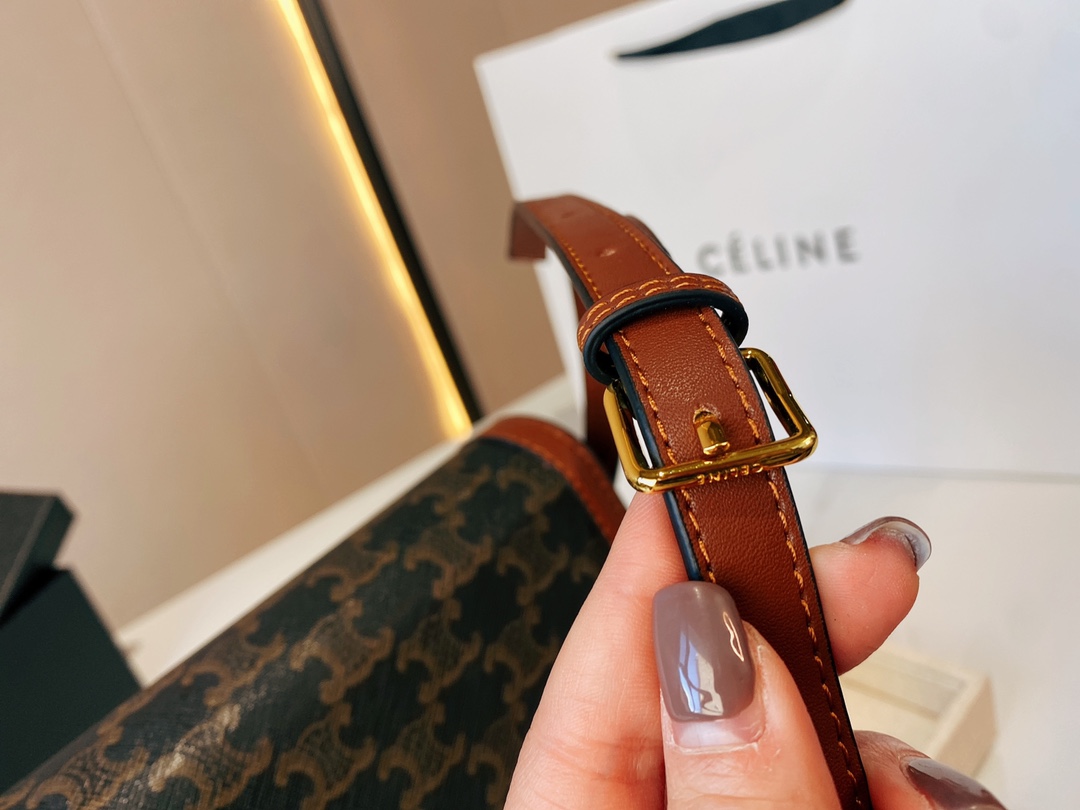 CE CLASSIQUE TRIOMPHE BAG IN TRIOMPHE CANVAS AND CALFSKIN TAN 22CM 191242BZ404LU