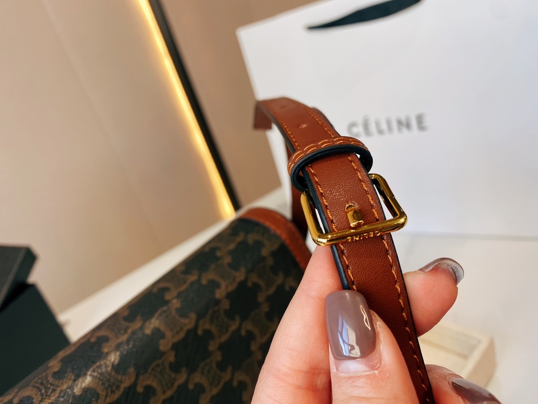 CE CLASSIQUE TRIOMPHE BAG IN TRIOMPHE CANVAS AND CALFSKIN TAN 22CM 191242BZ404LU