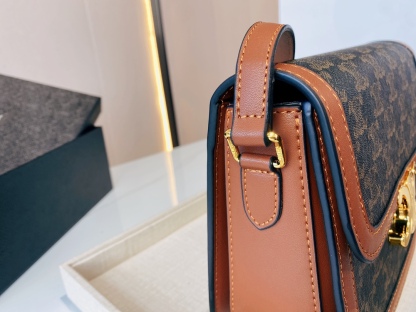 CE CLASSIQUE TRIOMPHE BAG IN TRIOMPHE CANVAS AND CALFSKIN TAN 22CM 191242BZ404LU