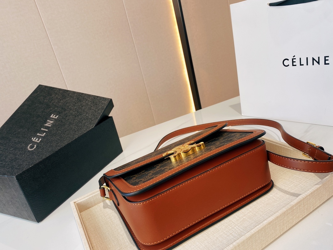 CE CLASSIQUE TRIOMPHE BAG IN TRIOMPHE CANVAS AND CALFSKIN TAN 22CM 191242BZ404LU