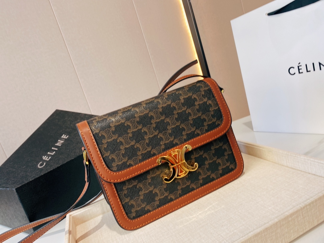 CE CLASSIQUE TRIOMPHE BAG IN TRIOMPHE CANVAS AND CALFSKIN TAN 22CM 191242BZ404LU