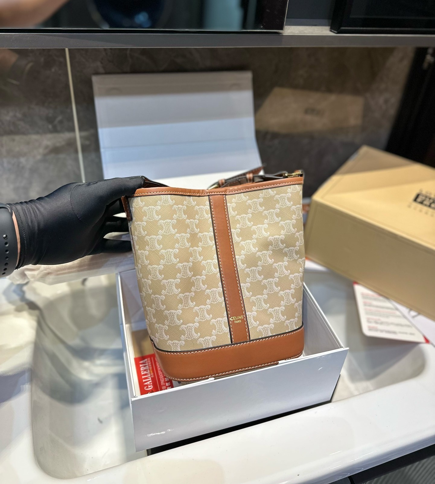 CE SMALL BUCKET CUIR TRIOMPHE IN TRIOMPHE CANVAS AND CALFSKIN GREGE 22CM 191442FLC 02GR