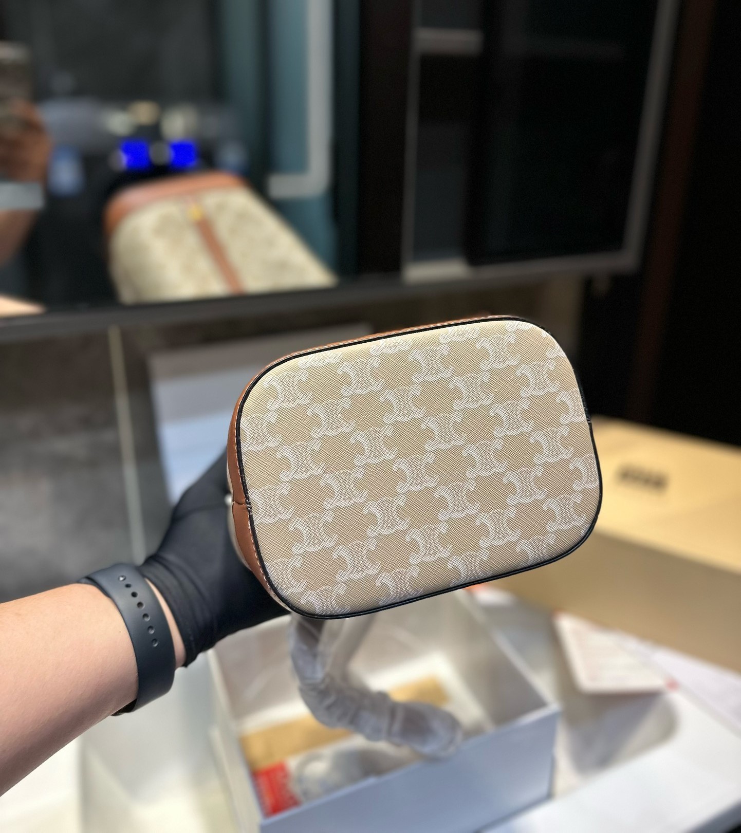 CE SMALL BUCKET CUIR TRIOMPHE IN TRIOMPHE CANVAS AND CALFSKIN GREGE 22CM 191442FLC 02GR