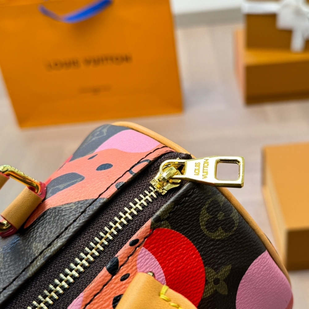 LV LIMITED EDITION MONOGRAM RAMAGES SPEEDY 25 MUTILCOLOR 25CM