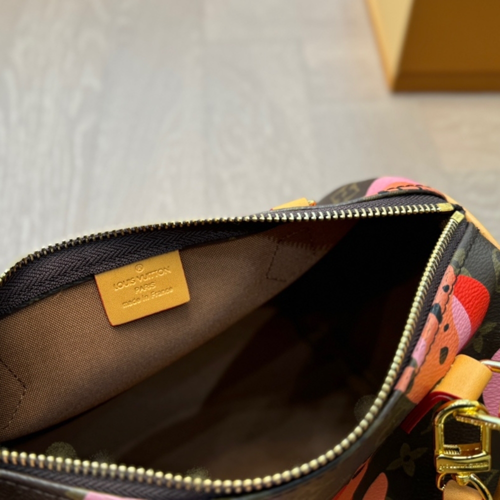 LV LIMITED EDITION MONOGRAM RAMAGES SPEEDY 25 MUTILCOLOR 25CM