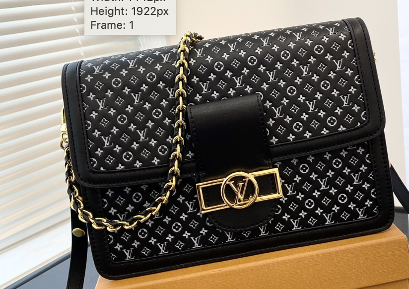 LV DAUPHINE MM 25CM BLACK AND WHITE MONOGRAM M45958