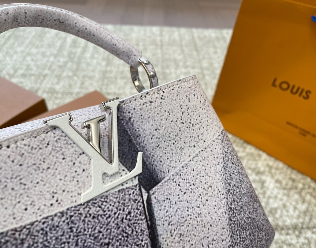 LV X FRANK GEHRY CAPUCINES MM CONCRETE POCKETS 20CM