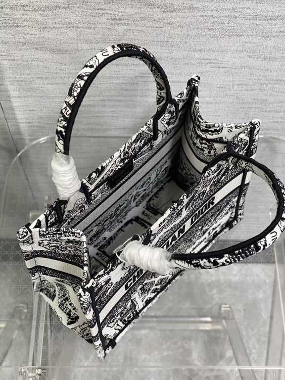 DIR MEDIUM BOOK TOTE WHITE AND BLACK PLAN DE PARIS EMBROIDERY 36CM