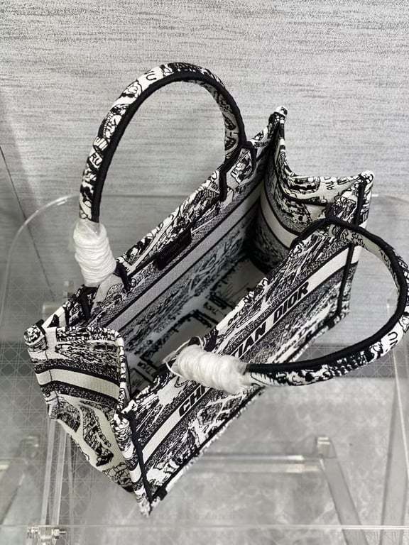 DIR MEDIUM BOOK TOTE WHITE AND BLACK PLAN DE PARIS EMBROIDERY 36CM