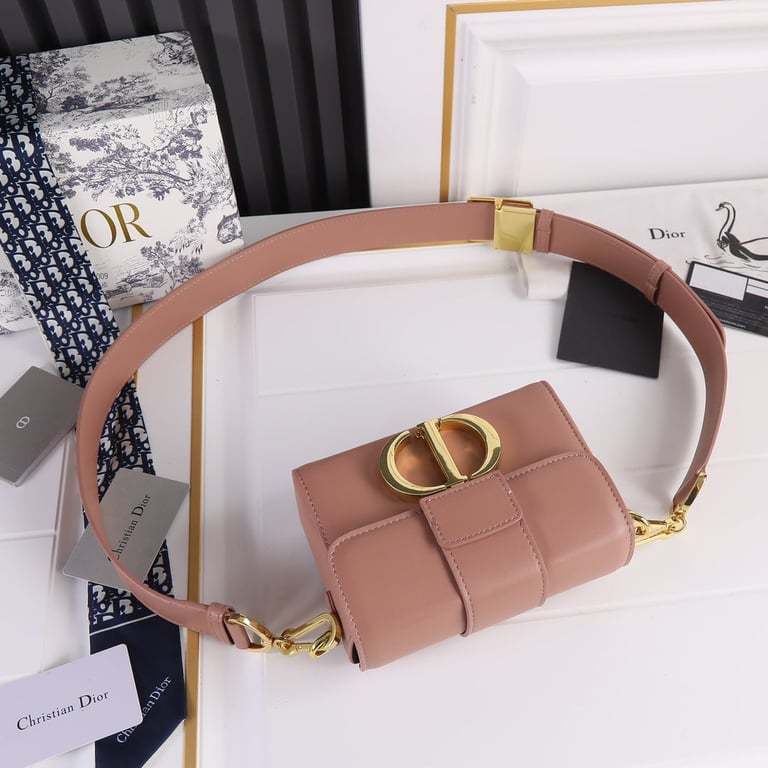 DIR 30 MONTAIGNE MICRO BAG ROSE DES VENTS 17CM