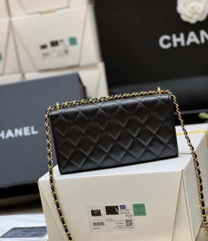 ChanelSmall Coin Pocket WOC Shoulder Bag Black For Women, Women&#8217;s Bags 7.9in/20cm