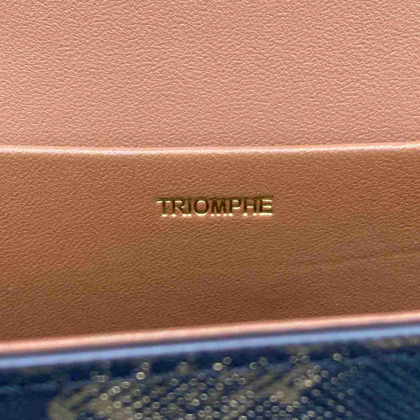 CE CHAIN SHOULDER BAG TRIOMPHE IN TRIOMPHE CANVAS TAN 197992DQW04LU