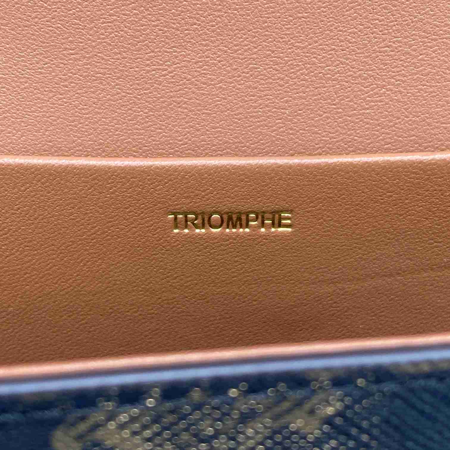 CE CHAIN SHOULDER BAG TRIOMPHE IN TRIOMPHE CANVAS TAN 197992DQW04LU