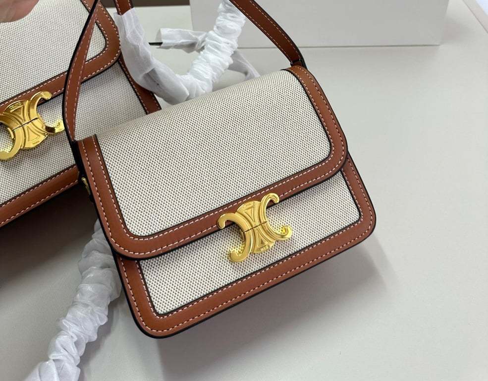 CE CLASSIQUE TRIOMPHE BAG IN TEXTILE AND CALFSKIN 22CM