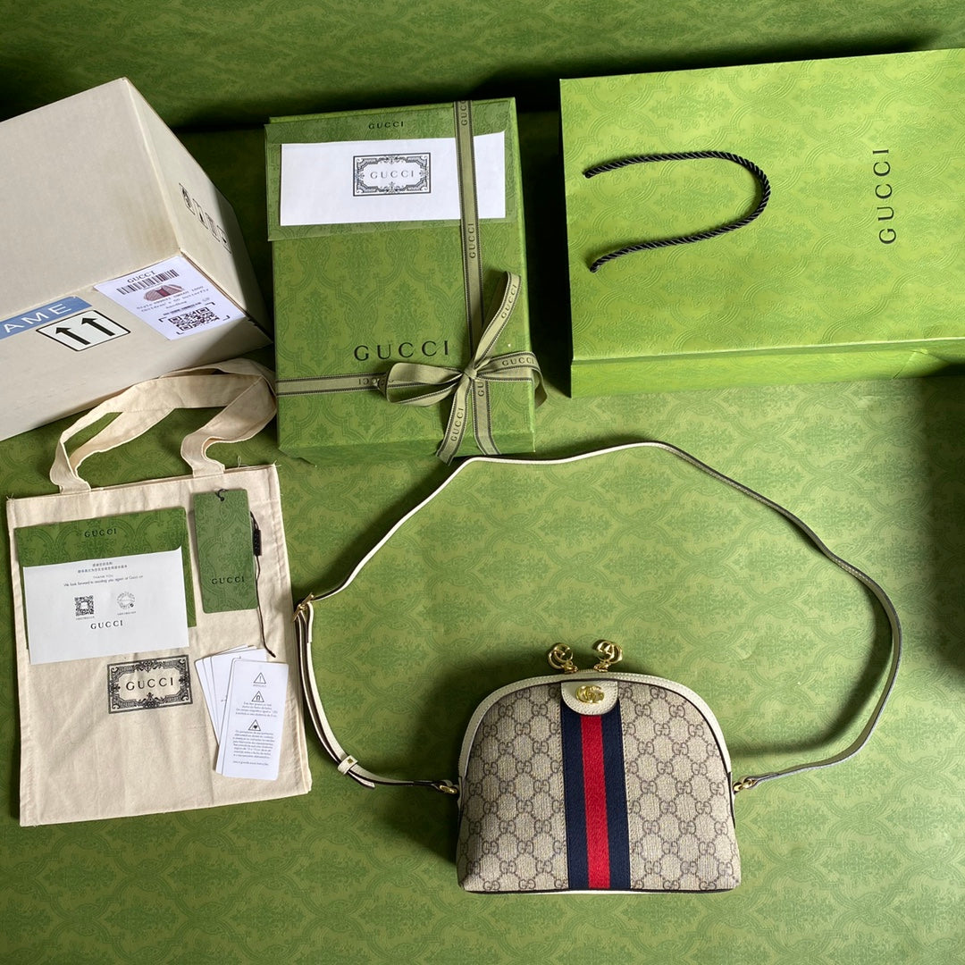 Luxury Bag - 129